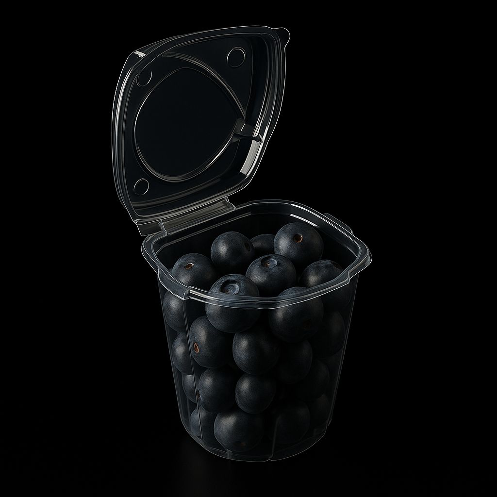PET Fruit Snack Box 250ml