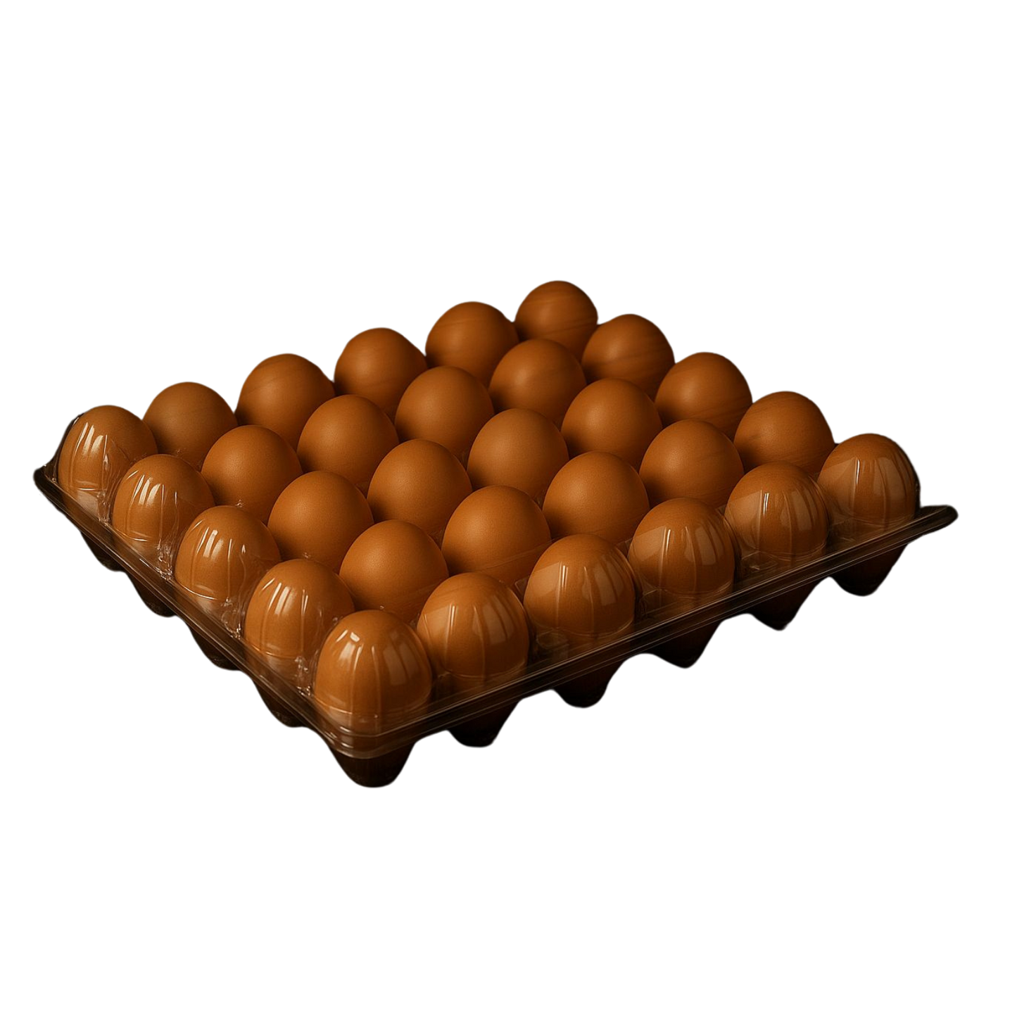 PET Eierschaal 30 stuks