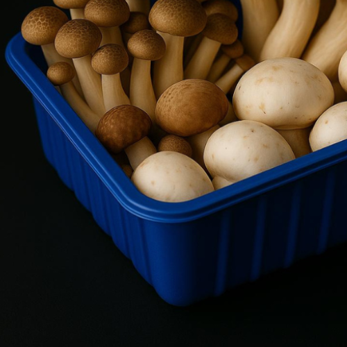 Champignon PET Schaal Blauw 460ml