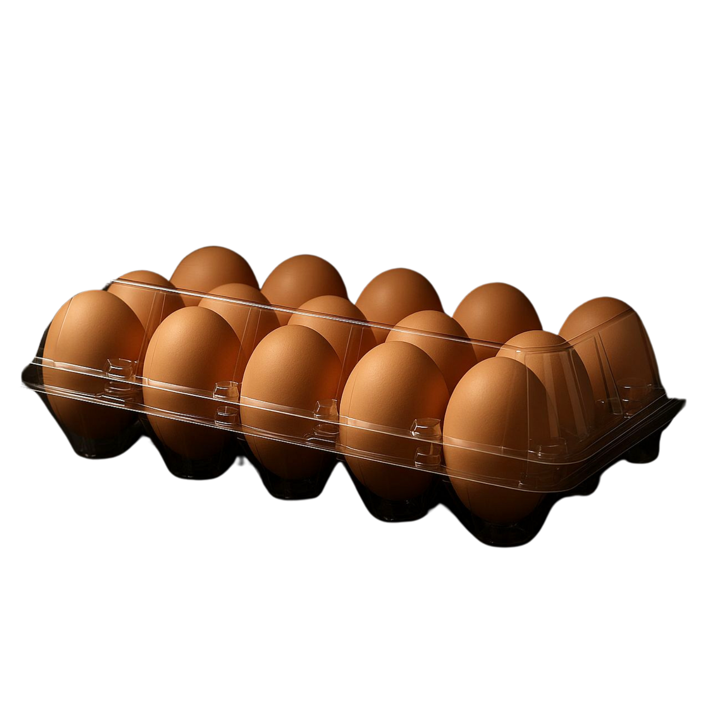 PET Eierschaal 15 stuks