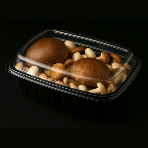 Champignon PET Box 500ml